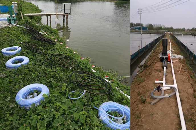 水产养殖罗茨91香蕉视频下载安装 水产养殖罗茨91香蕉视频下载安装