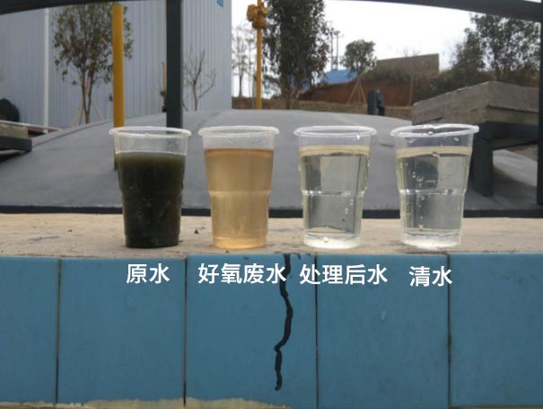 污水曝气罗茨鼓91香蕉视频下载安装应用案例 污水曝气罗茨鼓91香蕉视频下载安装应用案例